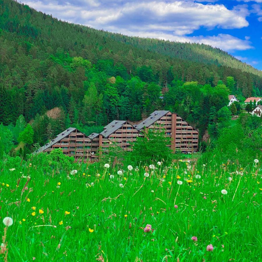 Ferienwohnung Guenter Im Tonbachtal Baiersbronn Exterior photo